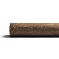 Aladino Corojo Reserva Robusto Cigar - 1 Single